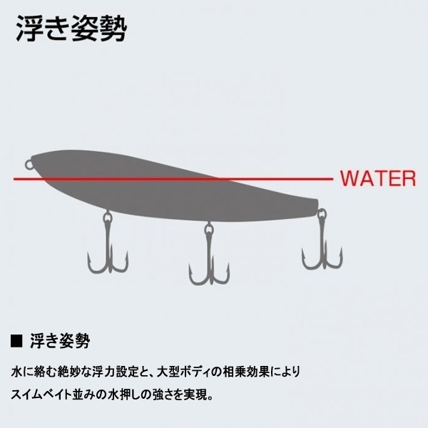 アマゾン　ボーンモデル